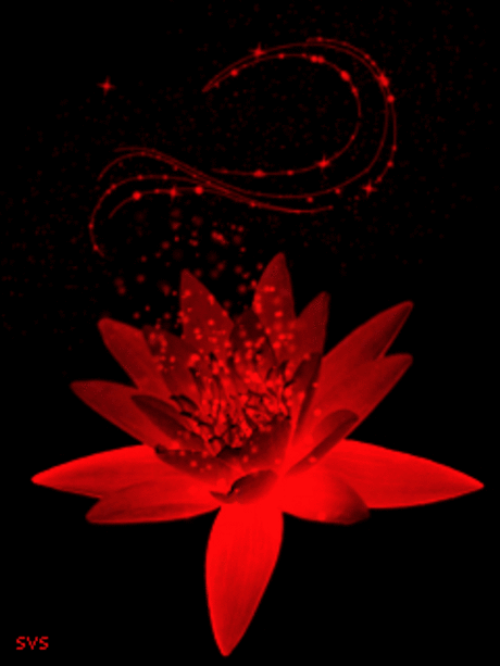 Анимированные фоны