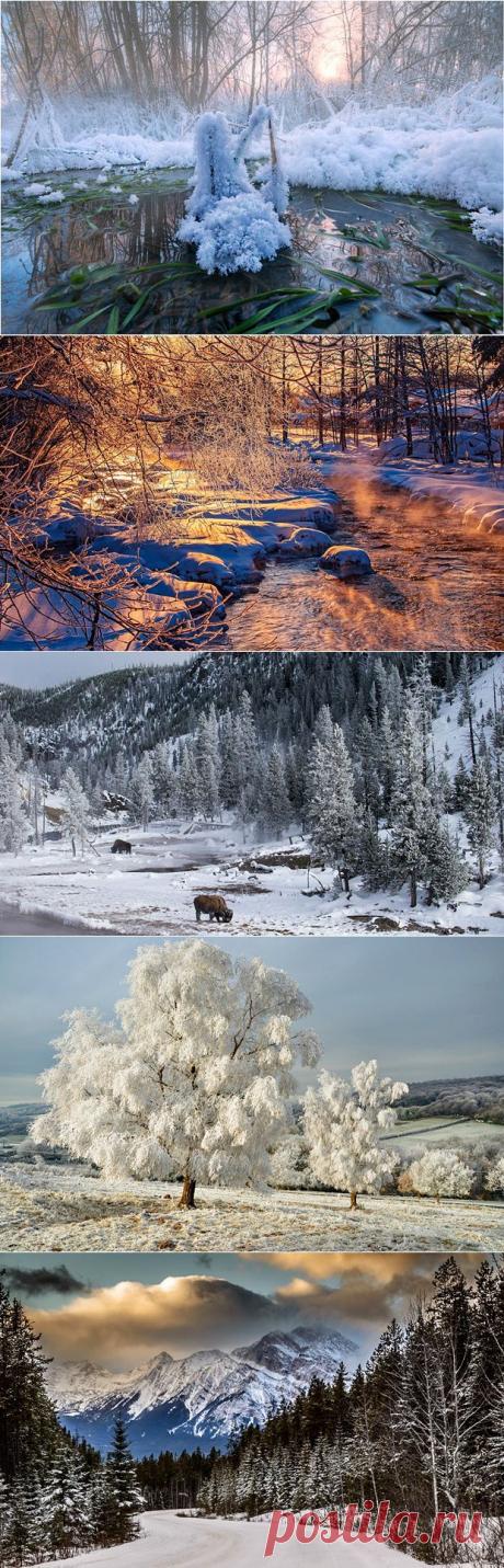 Снежные пейзажи зимы A. - Вид из окна