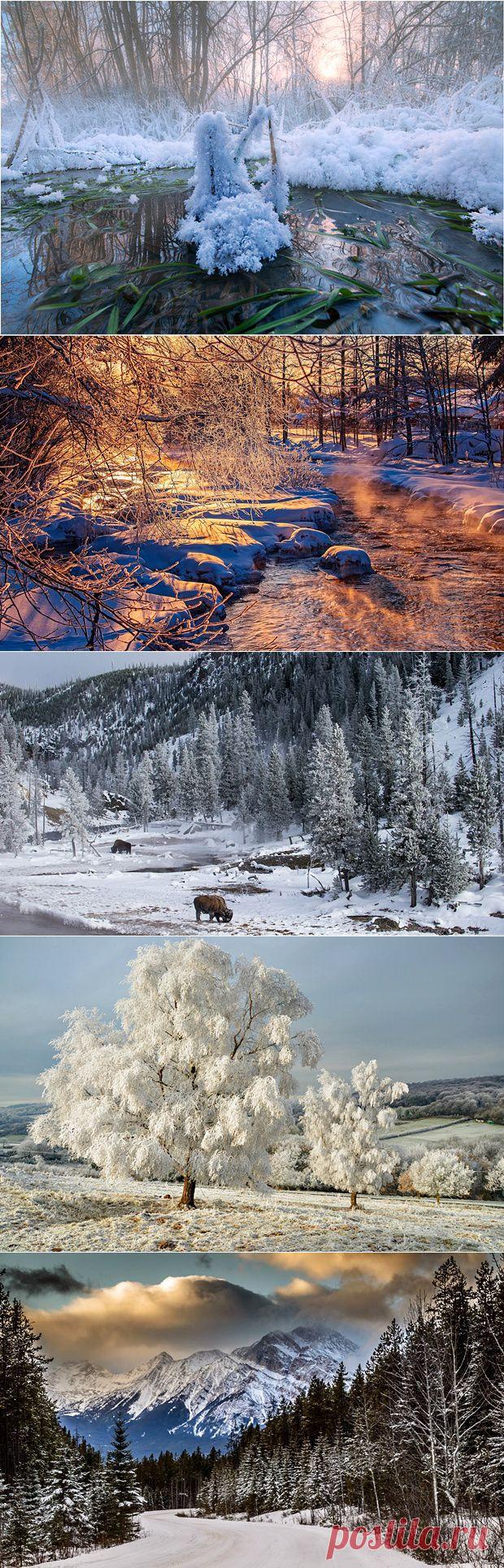 Снежные пейзажи зимы A. - Вид из окна