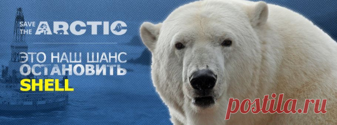 Если Shell начнёт бурить в Арктике, то неминуемо произойдет катастрофа, разлив нефти в этом регионе невозможно будет убрать. Поддержите наш протест, мы не можем отдать Арктику нефтяным компаниям!