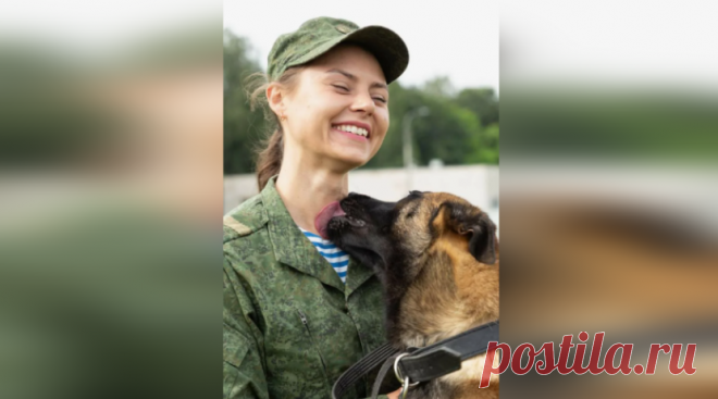 Обреченный на гибель щенок скулил у усопшего друга (рассказ) | Тайган | Дзен