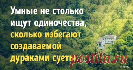 Вот почему умные люди счастливы, когда они одни