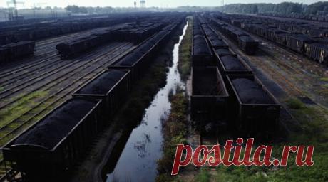 Gazeta Wyborcza: Польша продолжает закупать уголь напрямую из России. Польша продолжает закупать уголь напрямую из России, сообщает польская Gazeta Wyborcza. Как утверждает издание, в 2023 году в польские порты суда из российских городов заходили более 50 раз, в том числе 43 раза в порт Гданьска. Читать далее