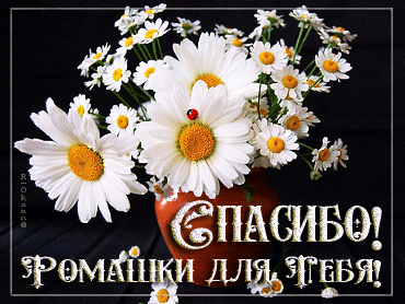 ГАЛИНА АНДРЕЕВА СМС