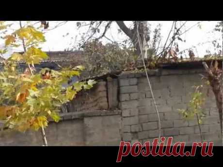 Ленинский Таджикистана ул Почтовая - YouTube. Это моя Родина.