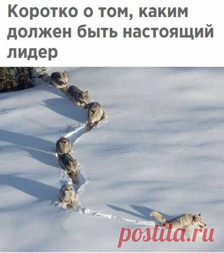 Знаете ли Вы?