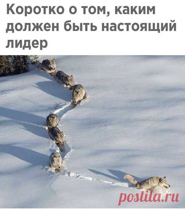 Знаете ли Вы?