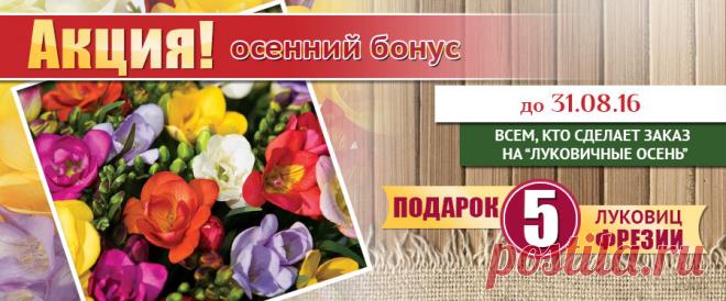 Семена, саженцы, луковицы, мицелий грибов, клубни картофеля почтой - интернет магазин Беккер