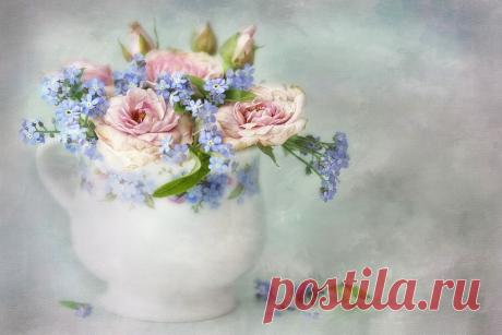 Дорогое лекарство - НЕЖНОСТЬ! | Lizzy Pe (часть 4)