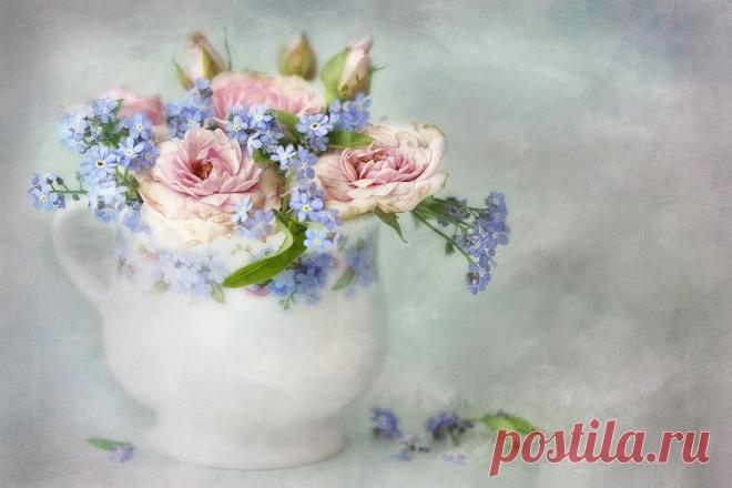 Дорогое лекарство - НЕЖНОСТЬ! | Lizzy Pe (часть 4)