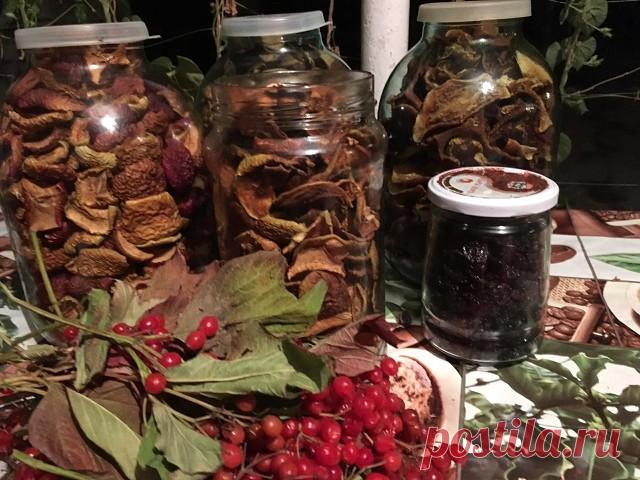 Сушеные яблоки, груши и сливы на электросушилке                                                 Татьяна Ляшова - автор фото и рецепта                                                                   Фрукты порезать произвольно....сушить в элекросушилке
#сушка