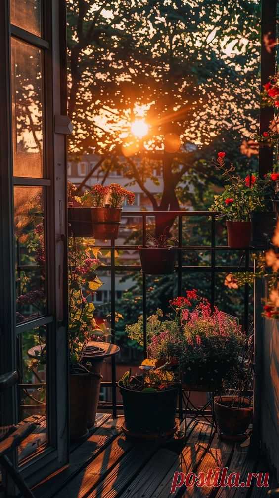 +100 Balcony Garden Ideas to Bloom Your Space