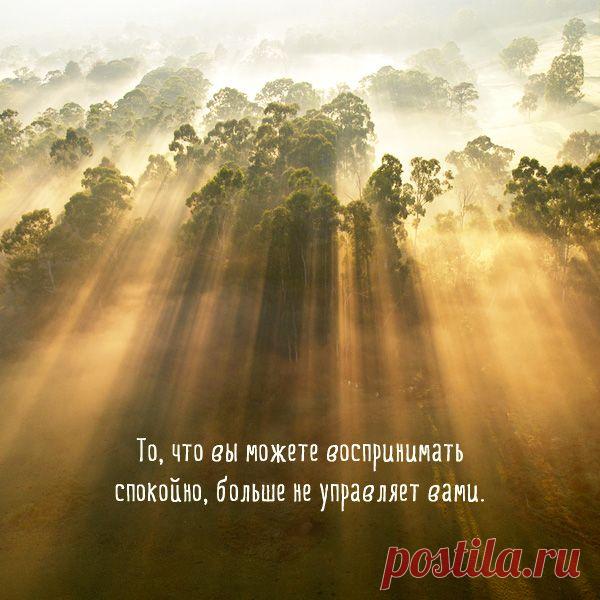 мудрые высказывания в картинках - Поиск в Google