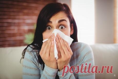 Что происходит с сердцем во время чихания и может ли оно остановиться — Женская страничка