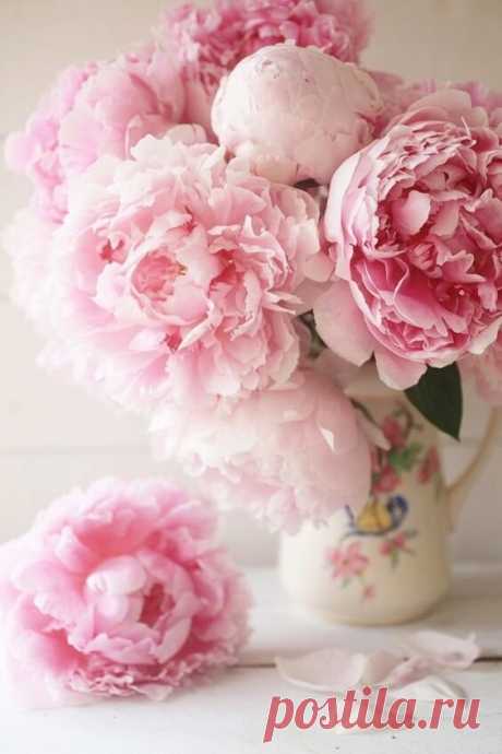 i (564×846)