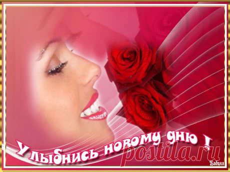 https://mir-animashki.com
