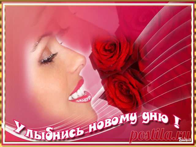http://mir-animashki.com