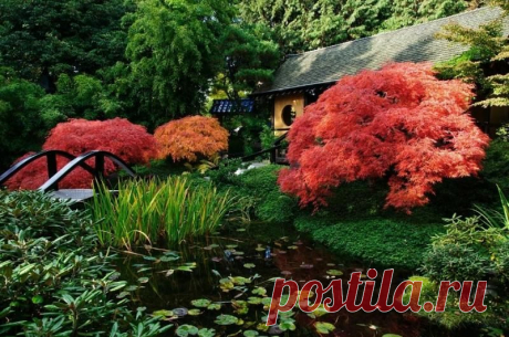 Красивые уголки сада фото