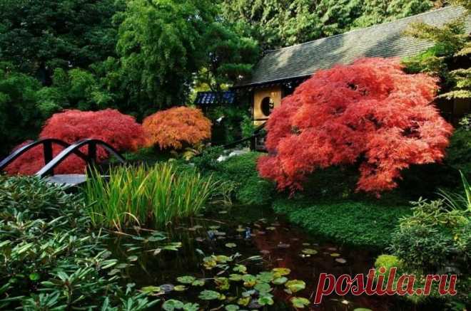 Красивые уголки сада фото