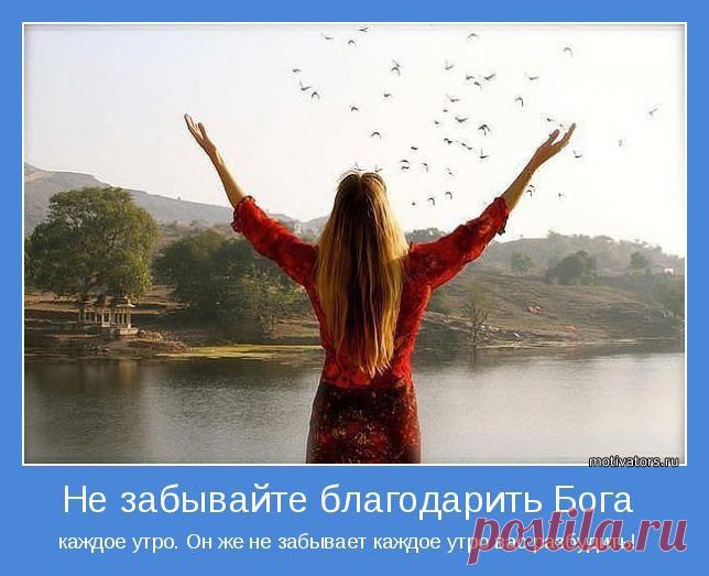 Не забывайте благодарить Бога