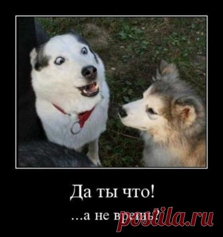 Фотографии на стене сообщества | 8 672 фотографии | ВКонтакте