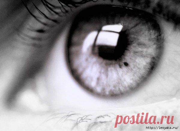 Теория лжи: как "прочитать" ложь по глазам.