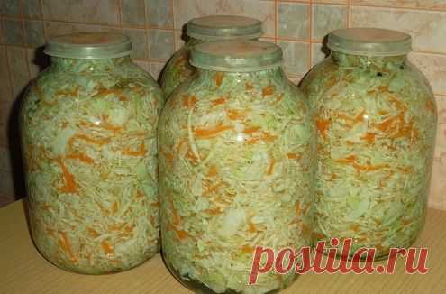 Засолка капусты в банках