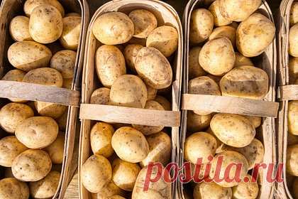 В России заметно подешевел ключевой продукт питания