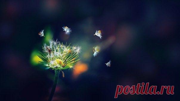 Мой Мир@Mail.Ru