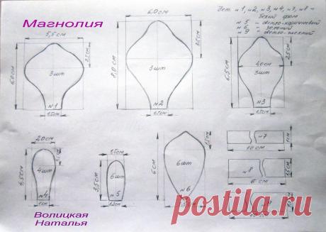 Наталья Волицкая