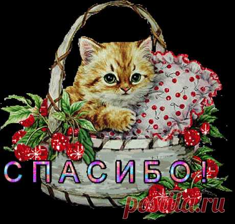 Плейкаст «СПАСИБО!!!»
