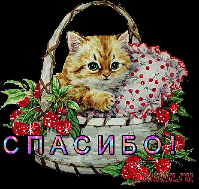 Плейкаст «СПАСИБО!!!»
