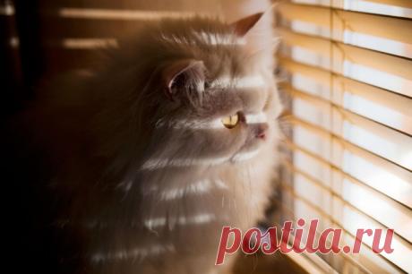 Главное, чтобы дома кто-то ждал – Фитнес для мозга