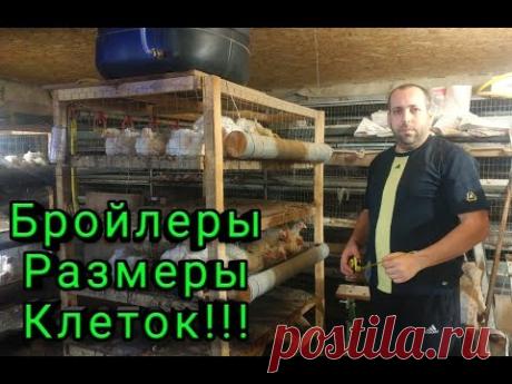 Бройлеры Размеры Клеток Как Самому Сделать Клетку для Бройлеров
