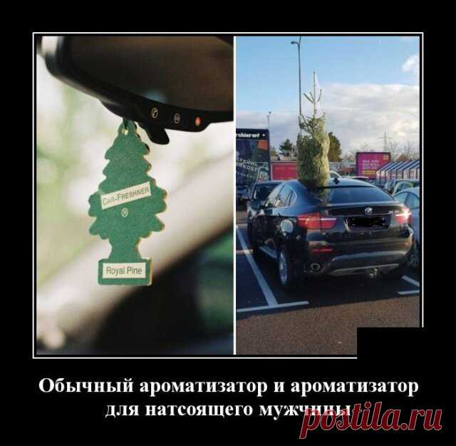 Демотиваторы помогут вернуться к действительности Очередная пестрая подборка демотиваторов на разные вкусы.




 








 








 








 








 








 








 








 








 








 








 








 








 








 






…