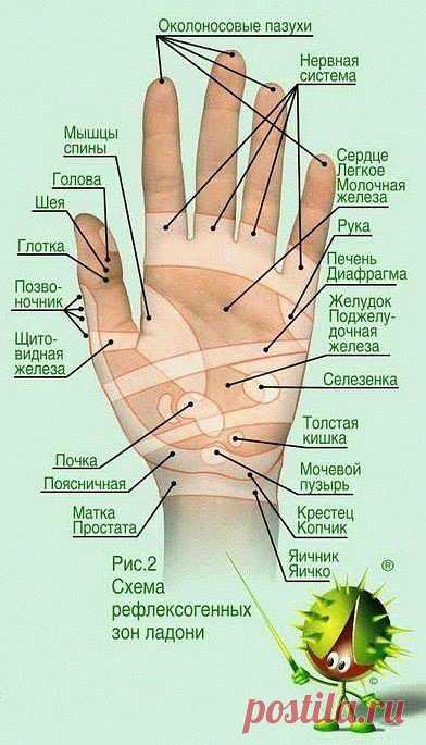 Одноклассники