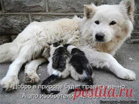 Мой Мир@Mail.Ru