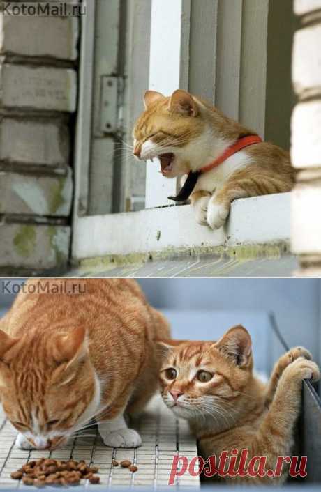 - Ужинать!!!!