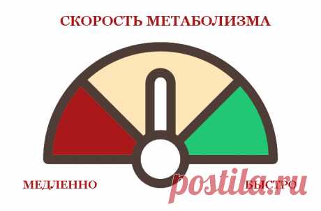 Метаболизм: какие 3 правила помогут его запустить с утра