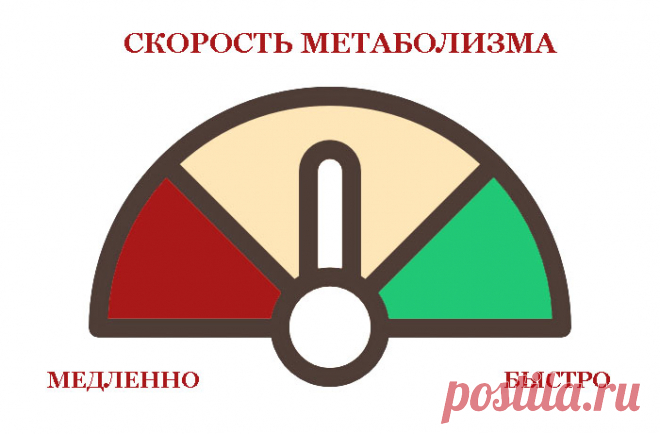 Метаболизм: какие 3 правила помогут его запустить с утра