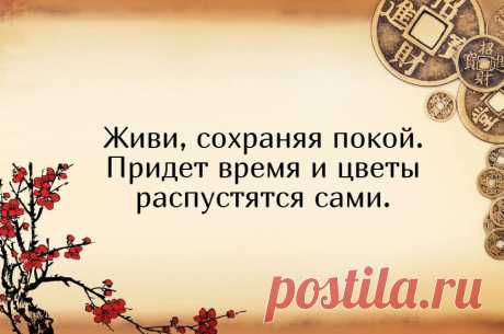 5 умнейших китайских изречений, которые изменили мой внутренний мир | Мадам Хельга | Яндекс Дзен