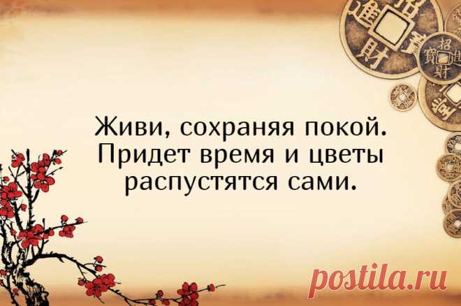 5 умнейших китайских изречений, которые изменили мой внутренний мир | Мадам Хельга | Яндекс Дзен