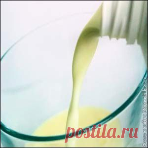 Как и чем кормить собаку после родов и что делать, если она не ест?