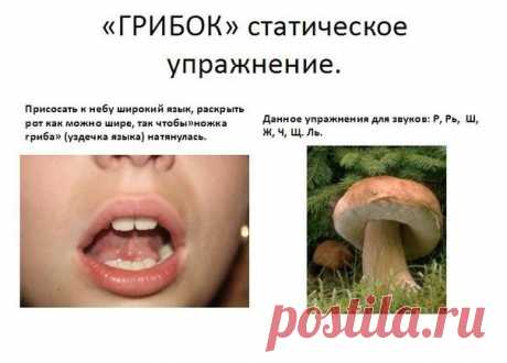 Консультация для родителей на тему «ЛОГОПЕДИЧЕСКАЯ ГИМНАСТИКА» Логопедическая, или артикуляционная, гимнастика — это комплекс упражнений для развития мышц артикуляционного аппарата: губ, щек, челюстей, языка, губ, неба. Мы произносим различные звуки как изолированно, так и в речевом потоке благодаря силе, хорошей подвижности и дифференцированной работе органов артикуляционного аппарата. Таким образом, произношение звуков речи это сложный двигательный навык. Цель артикуляционной гимнастики…