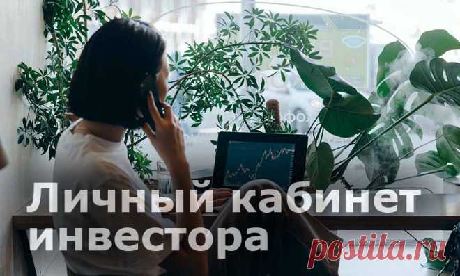 Личный кабинет инвестора. Разработка комфортного рабочего места

Юзабилити личных кабинетов партнеров стоит уделить особое внимание, вне зависимости от ниши вашей компании, но с учетом ее особенностей. В этой статье мы расскажем, какие нюансы нужно предусмотреть при разработке личных кабинетов партнеров инвестиционных организаций.