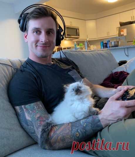 Доказательства того, что каждый мужчина должен построить дом, посадить дерево и завести кота Представить девушку, сюсюкающуюся с котиком, не составит никакого труда, а вот с мужчинами это сделать чуть сложнее. Сильная половина человечества до последнего старается держать марку, проявляя твердость характера, не поддаваясь эмоциям и даже частенько накладывая запрет на стремление домочадцев принести в дом мурлыкающий комочек.