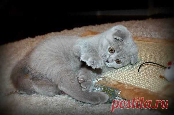 Мой Мир@Mail.Ru