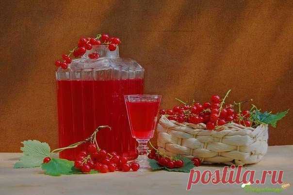Одиннадцать рецептов настоек 

1. Яблочно-медовая настойка 

Водка – 1,5 л, яблоки - 1,5 кг, сахар – 200 г , мед натуральный – 50 г , вода – 1,5 л. 
Показать полностью…