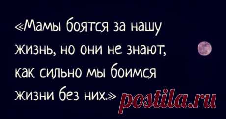 Цитаты и статусы
