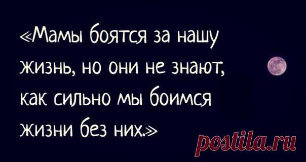 Цитаты и статусы